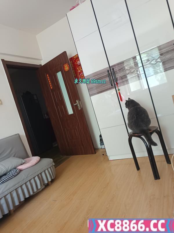 哈尔滨市,楼凤,修车,外围,约炮,小姐,资源,哈尔滨哈西老妹