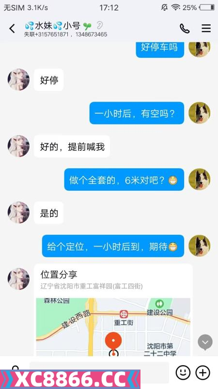 沈阳市,楼凤,修车,外围,约炮,小姐,资源,川妹儿在沈阳