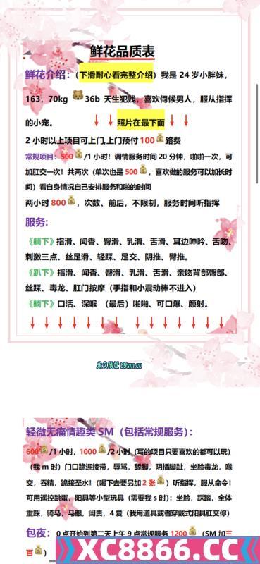 沈阳市,楼凤,修车,外围,约炮,小姐,资源,沈阳m小母狗