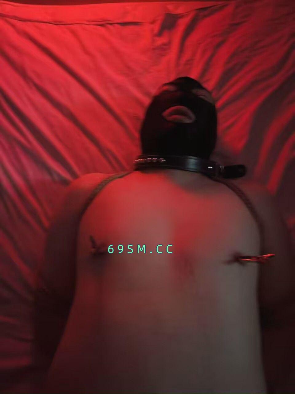 女王驾到